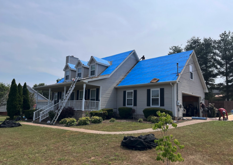 modern house 768x545