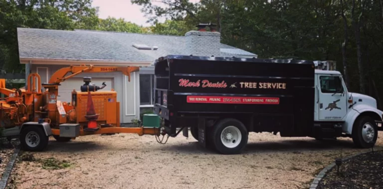 tree service east hampton ny 2 768x379