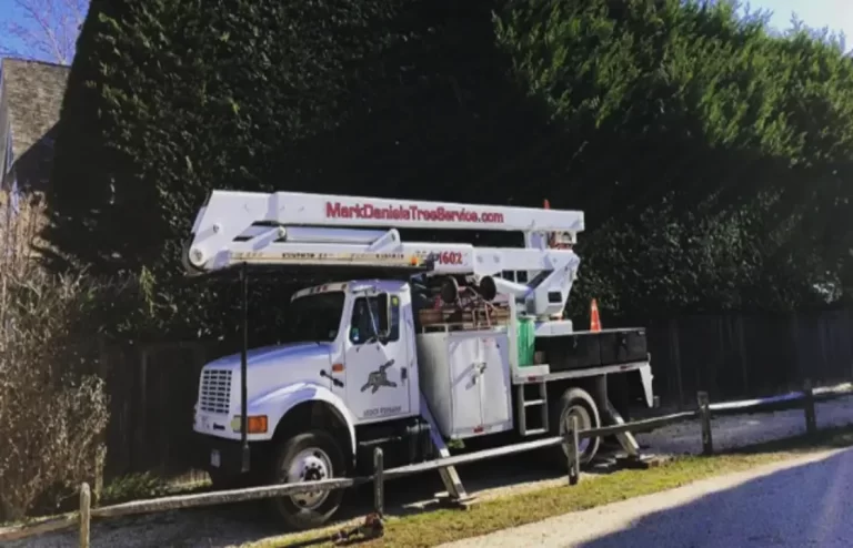 tree service southampton ny 1 768x494