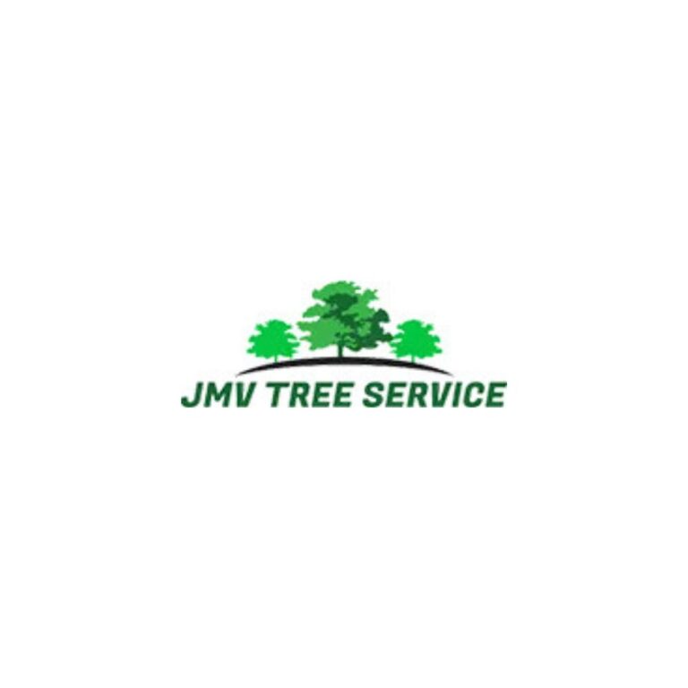 JMV Tree Services Corp Logo 768x768