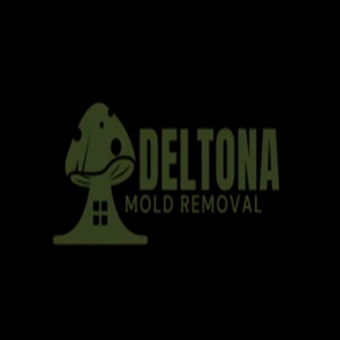 Deltona Mold Removal 400