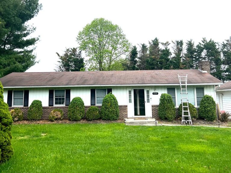 imgi 20 ourwork 08 768x576