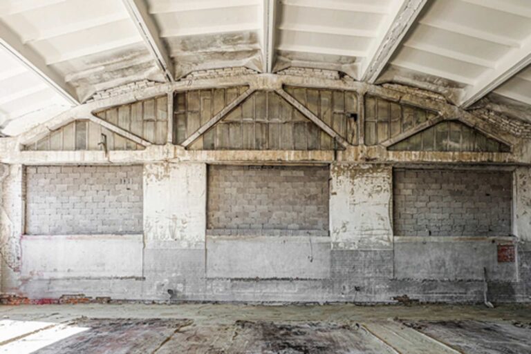 Commercial mold damage   SMALL VERSION   shutterstock 1808346268 1 768x513