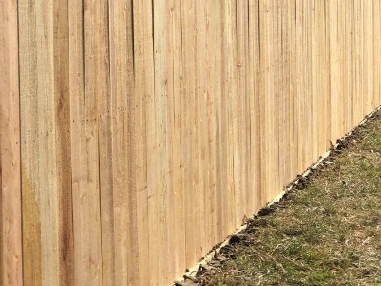 imgi 16 rsw 1023m 768x576