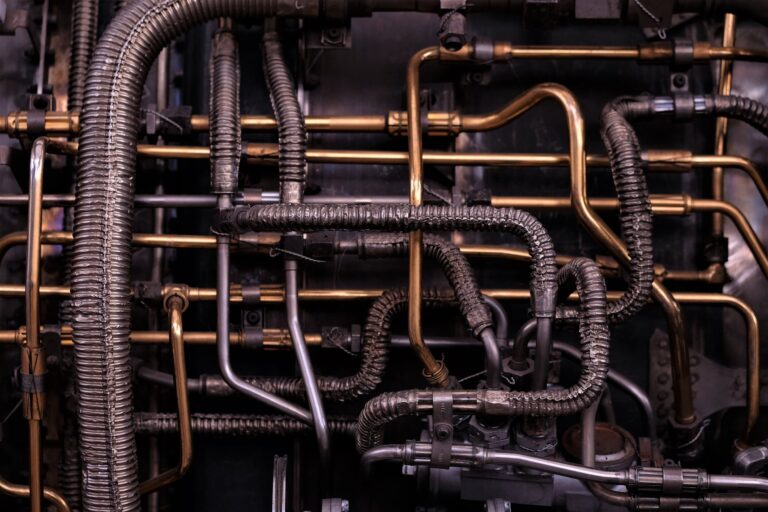 imgi 28 image asset 768x512