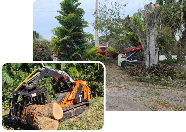 imgi 9 About US 768x547