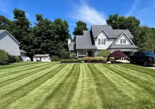 imgi 54 lawn care feature
