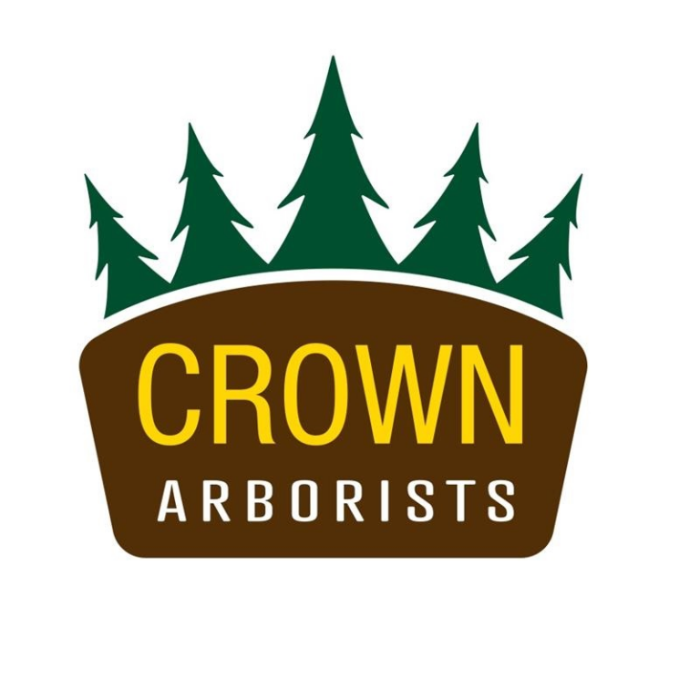 Crown PNG 768x768